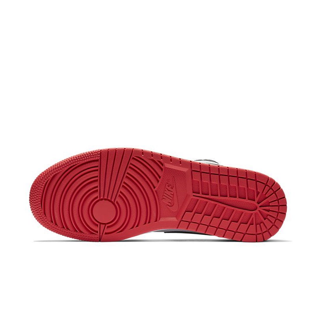 jordan air jordan 1 retro low